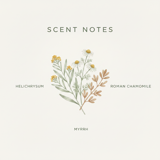 Quiet Whiskers Scent Notes